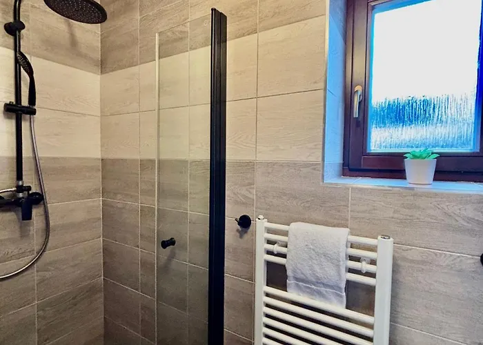U Rybniku Appartement *