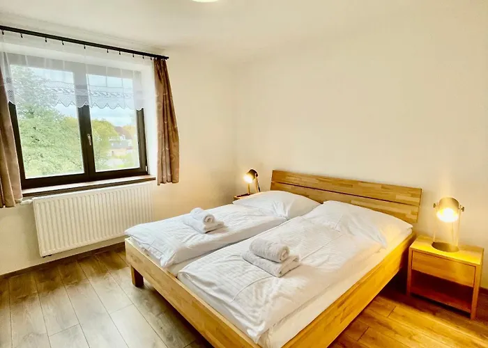 U Rybniku Černá v Pošumaví